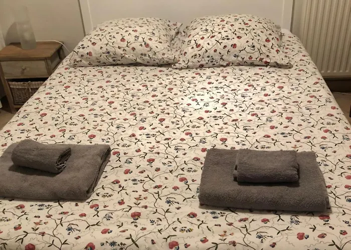 Maison 8 Couchages Piscine Privee Roquecor